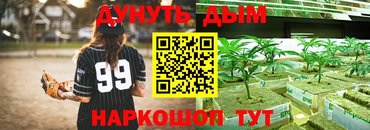 Конопля гибрид  Марихуана OG Kush  Вход с VPN  Белореченск  Конопля конопля 